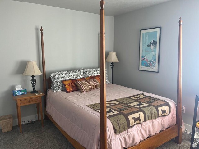 1869 Southpointe Ct, Logan, UT 84341 - bedroom featuring baseboards and carpet flooring