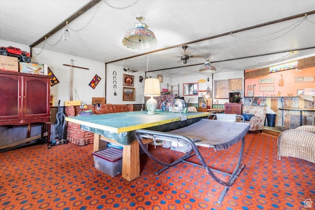 playroom with carpet