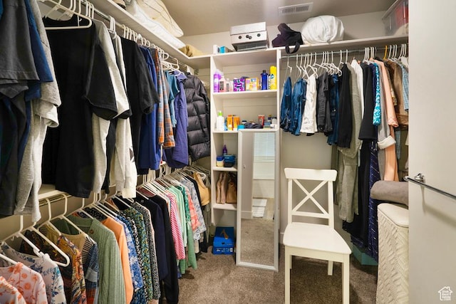 4143 W Gate Keeper Dr, Herriman, UT 84096 - walk in closet featuring carpet flooring