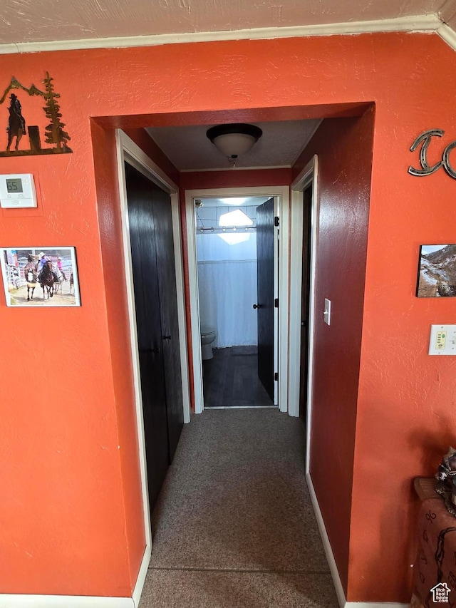 3379 S 1750 E, Price, UT 84501 - hall featuring a textured wall and carpet flooring