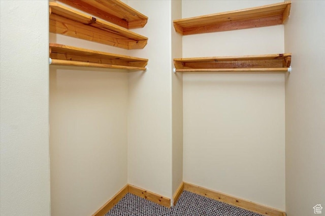 792 S Spruce Dr S, Garden City, UT 84028 - view of walk in closet