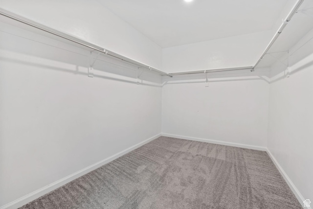 spacious closet with carpet