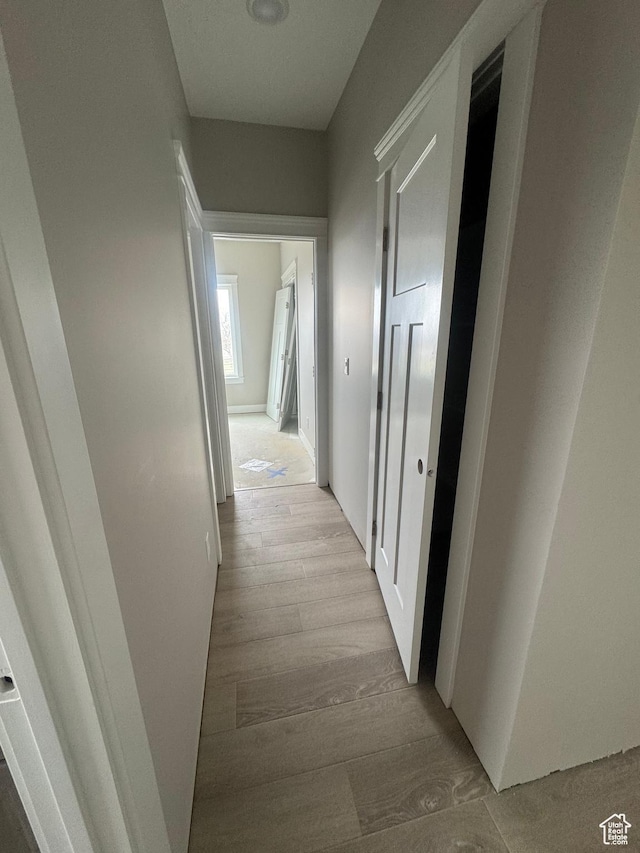1870 N Valley View Dr Unit 201, Layton, UT 84040 - corridor with light wood-style floors
