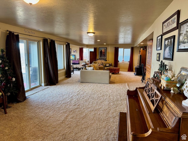 29 W Tamarind Way, Garden City, UT 84028 - view of carpeted living area