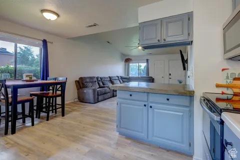 kitchen with ceiling fan, stainless steel appliances, light wood-type flooring, and a wealth of natural light