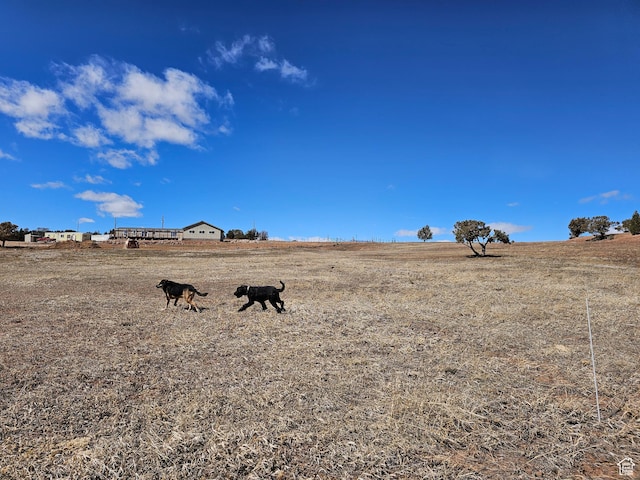 view of yard featuring a rural view