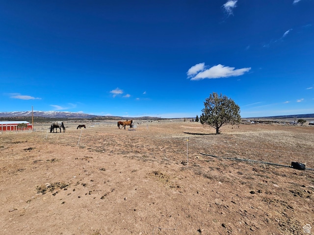 view of yard with a mountain view and a rural view