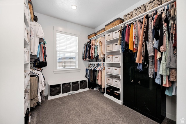 116 N 820 E, Hyde Park, UT 84318 - spacious closet with carpet