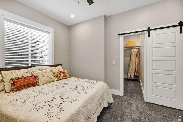 116 N 820 E, Hyde Park, UT 84318 - bedroom with a closet, a barn door, a walk in closet, dark colored carpet, and baseboards