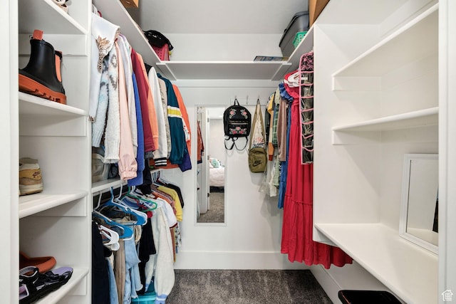 116 N 820 E, Hyde Park, UT 84318 - view of walk in closet