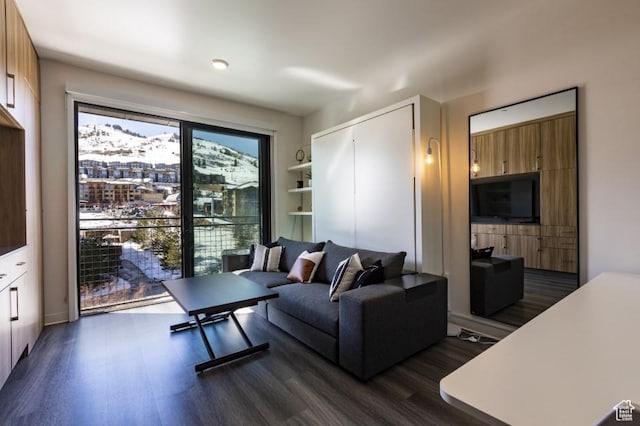2670 W Canyons Resort Dr Unit 432, Park City, UT 84098 - living room with dark wood-type flooring