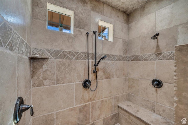 580 S 920 W, Hurricane, UT 84737 - room details with tiled shower