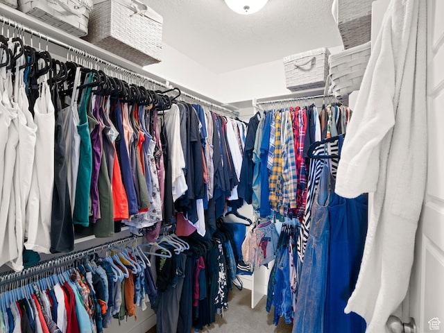 14353 S Ashvale Dr, Herriman, UT 84096 - walk in closet with carpet floors