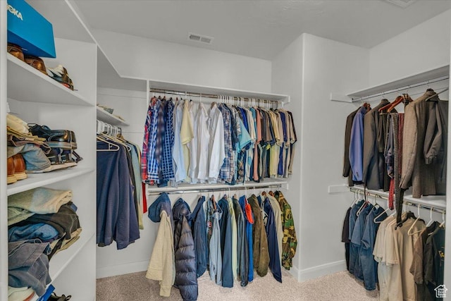 875 E Roadrunner Dr, Washington, UT 84780 - spacious closet featuring carpet and visible vents