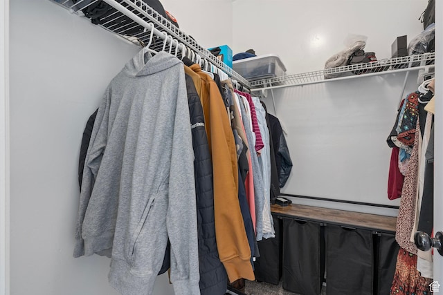 343 S 790 W Unit 301, Pleasant Grove, UT 84062 - view of walk in closet