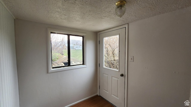 84 N 550 E, Spring City, UT 84662 - entryway featuring dark wood-type flooring, a textured ceiling, and baseboards