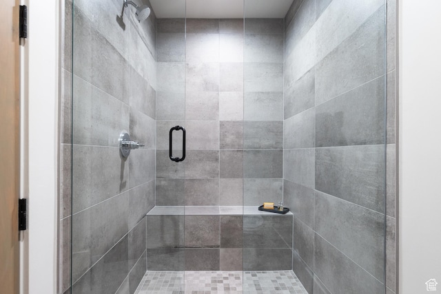 7045 E Moon Light Dr, Heber City, UT 84032 - bathroom with a stall shower