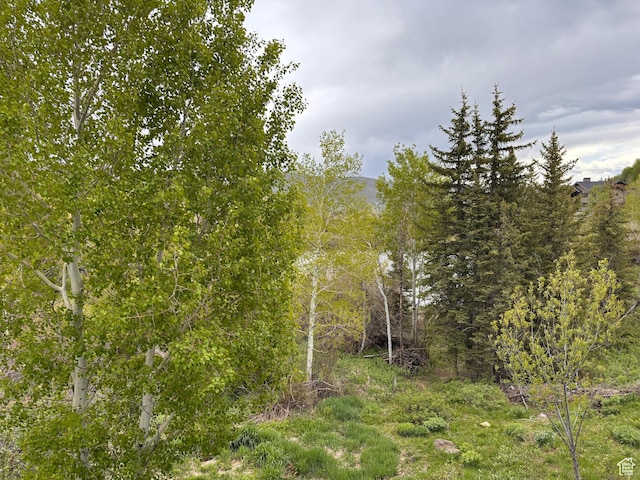 8680 Saddleback Cir, Park City, UT 84098 - view of wooded area