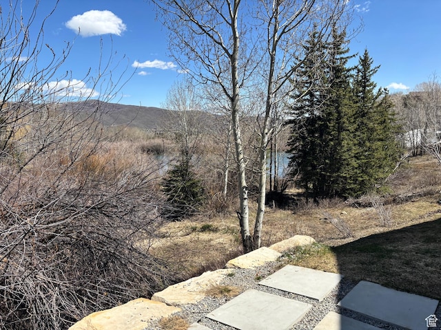 8680 Saddleback Cir, Park City, UT 84098 - view of mountain background