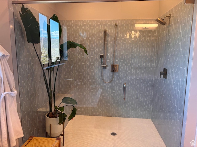 8680 Saddleback Cir, Park City, UT 84098 - bathroom with a stall shower
