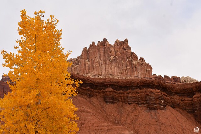 213 S 975 W Unit 4, Torrey, UT 84775