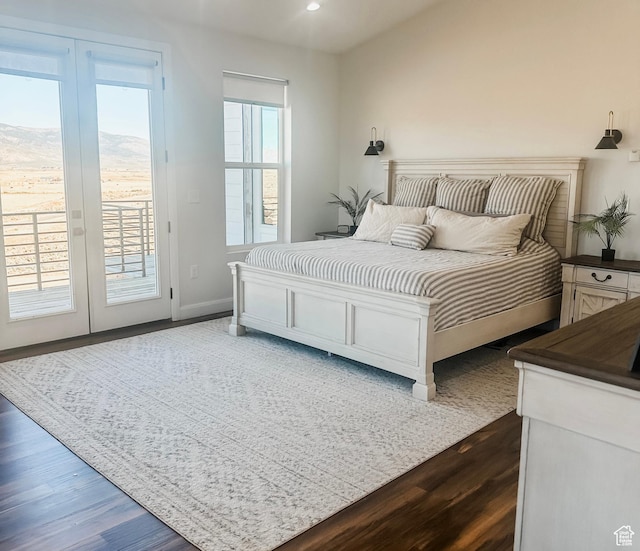 690 N Main St, Antimony, UT 84712 - bedroom featuring dark wood-type flooring, baseboards, access to outside, and recessed lighting