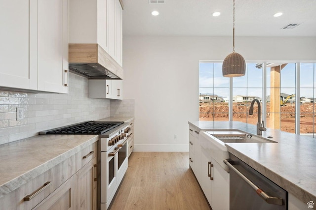 3087 E 2220 S, St George, UT 84790 - kitchen with high end white range, stainless steel dishwasher, custom exhaust hood, a sink, and light wood finished floors