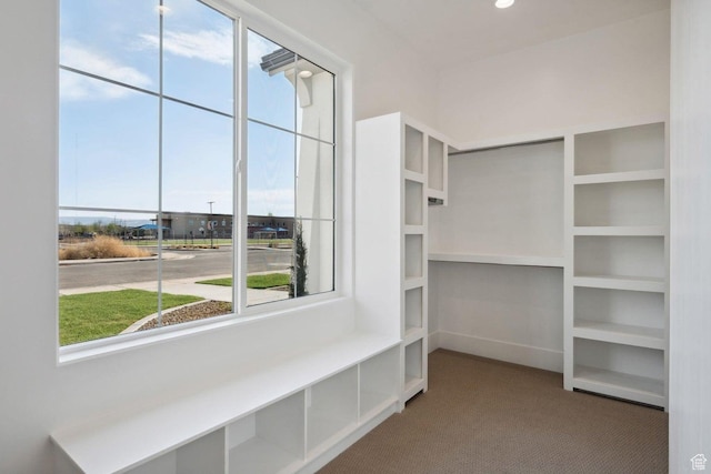 3087 E 2220 S, St George, UT 84790 - spacious closet with carpet floors
