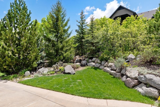 1562 E Granite Brook Ct S, Draper, UT 84020 - view of grassy yard
