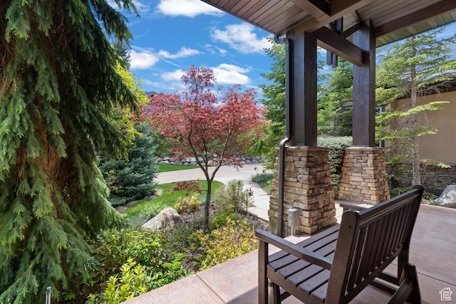 1562 E Granite Brook Ct S, Draper, UT 84020 - view of patio
