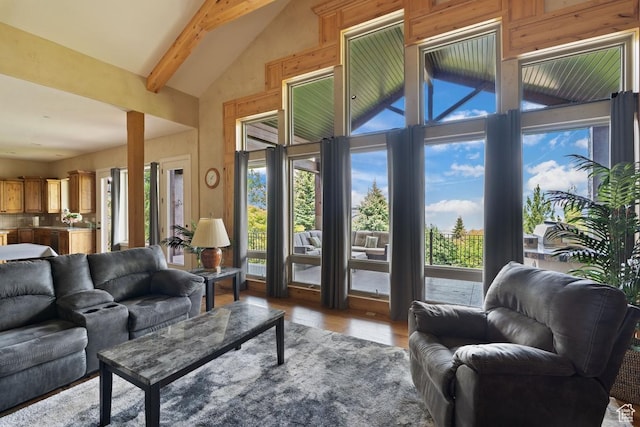 1562 E Granite Brook Ct S, Draper, UT 84020 - living room with wood finished floors and plenty of natural light