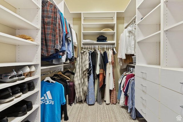 view of spacious closet