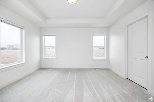 538 N 550 W, Smithfield, UT 84335 - empty room featuring a tray ceiling, a healthy amount of sunlight, and light colored carpet