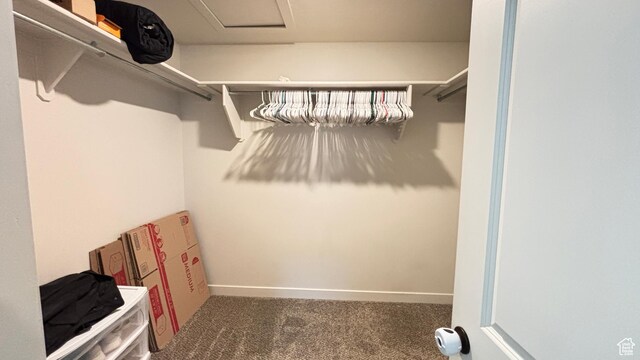 1794 N 1260 E, Payson, UT 84651 - walk in closet with carpet and attic access