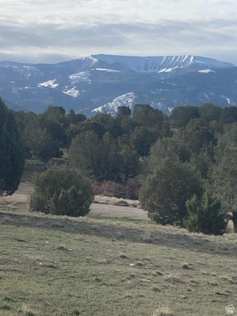Spring City, UT 84662