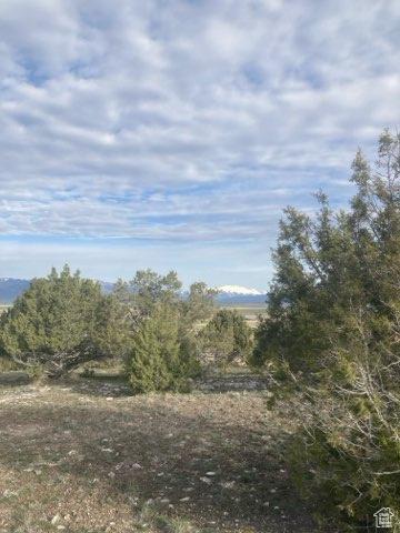Spring City, UT 84662