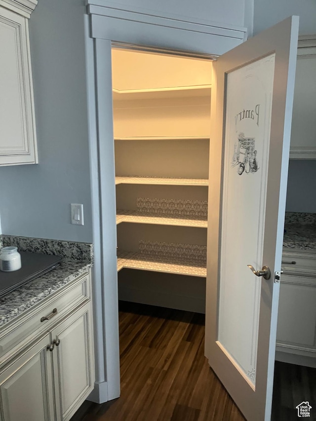285 W 1580 N Unit 102, Logan, UT 84341 - view of pantry