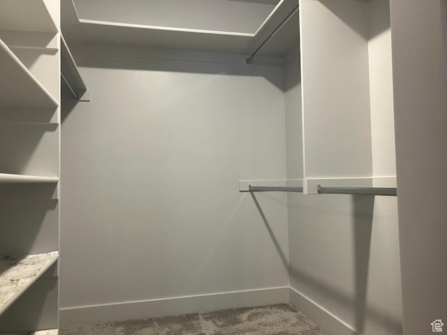 285 W 1580 N Unit 102, Logan, UT 84341 - spacious closet with carpet