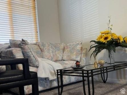890 E Chase Brook Ln S, Millcreek, UT 84107 - view of living area