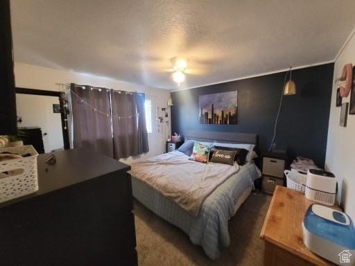 805 N Valley View Dr W, Castle Dale, UT 84513 - view of bedroom