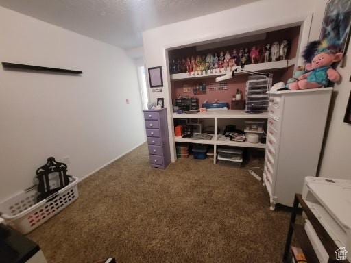 805 N Valley View Dr W, Castle Dale, UT 84513 - view of storage area