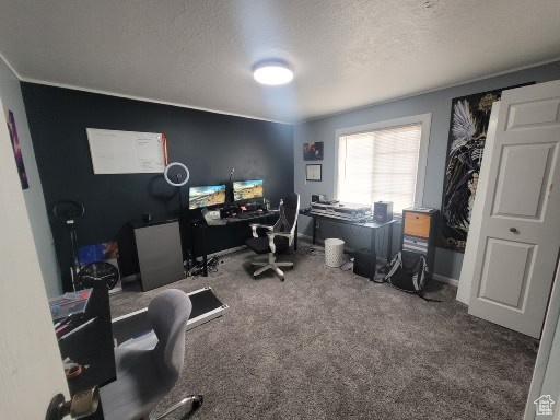 805 N Valley View Dr W, Castle Dale, UT 84513 - carpeted office space featuring a textured ceiling