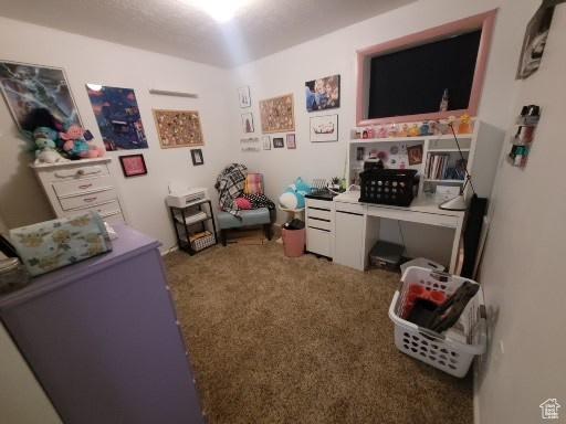 805 N Valley View Dr W, Castle Dale, UT 84513 - interior space with carpet floors