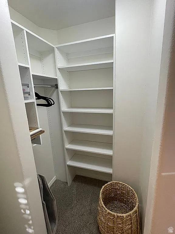 3155 S Hidden Valley Dr Unit 331, St George, UT 84790 - walk in closet with carpet floors