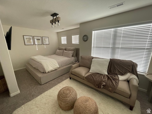 3155 S Hidden Valley Dr Unit 331, St George, UT 84790 - carpeted bedroom with baseboards, visible vents, and a textured ceiling