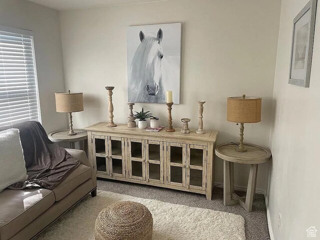 3155 S Hidden Valley Dr Unit 331, St George, UT 84790 - living area with baseboards and carpet floors