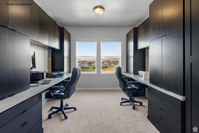 3032 W Cramden Dr, Lehi, UT 84043 - office area featuring light carpet, baseboards, visible vents, and a textured ceiling