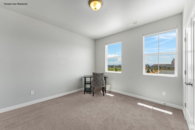 3032 W Cramden Dr, Lehi, UT 84043 - unfurnished office with carpet, baseboards, a textured ceiling, and visible vents