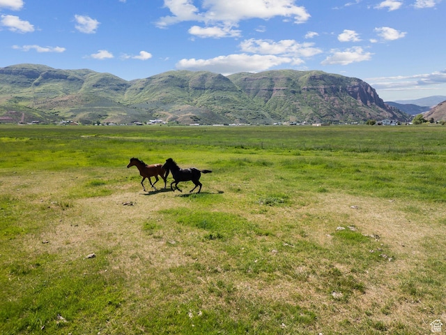 1450 N Henefer Rd, Henefer, UT 84033