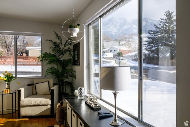 sitting room featuring a healthy amount of sunlight and wood finished floors